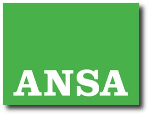 4. ANSA