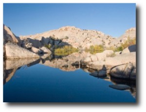 10. Parque Nacional Joshua Tree