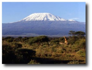 3. Kilimanjaro