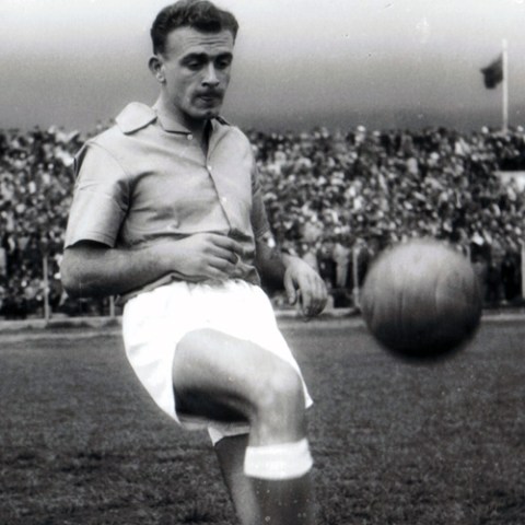 Alfredo di Stéfano